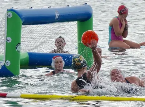 LPT-L-POLO-0812-03-1